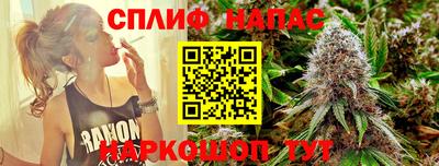 PSILOCYBIN Бугуруслан