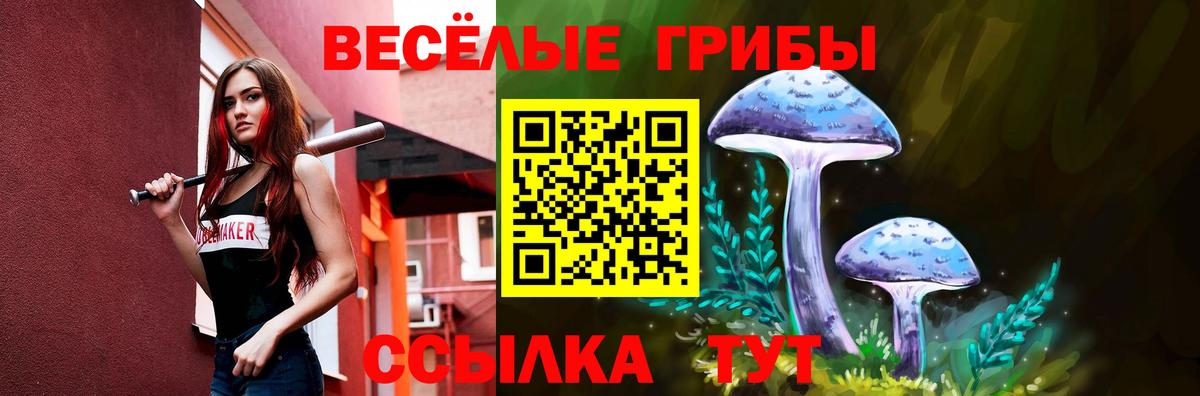 Галлюциногенные грибы GOLDEN TEACHER Усинск
